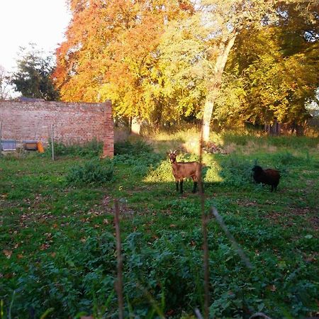 Le Jardin Des Ecureuils Hotel Demuin Luaran gambar